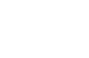 BookLoom Logo
